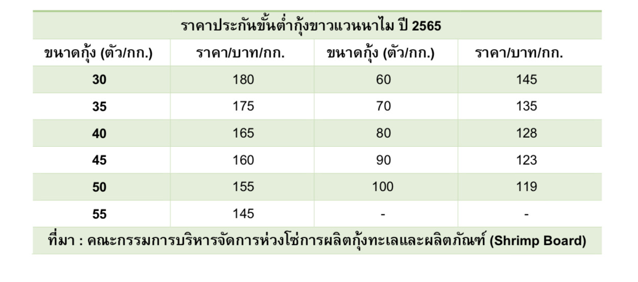 ผู้เลี้ยงกุ้งใต้อ่วม โดนฝนกระหน่ำและผลพวง “นำเข้ากุ้งเอกวาดอร์” 