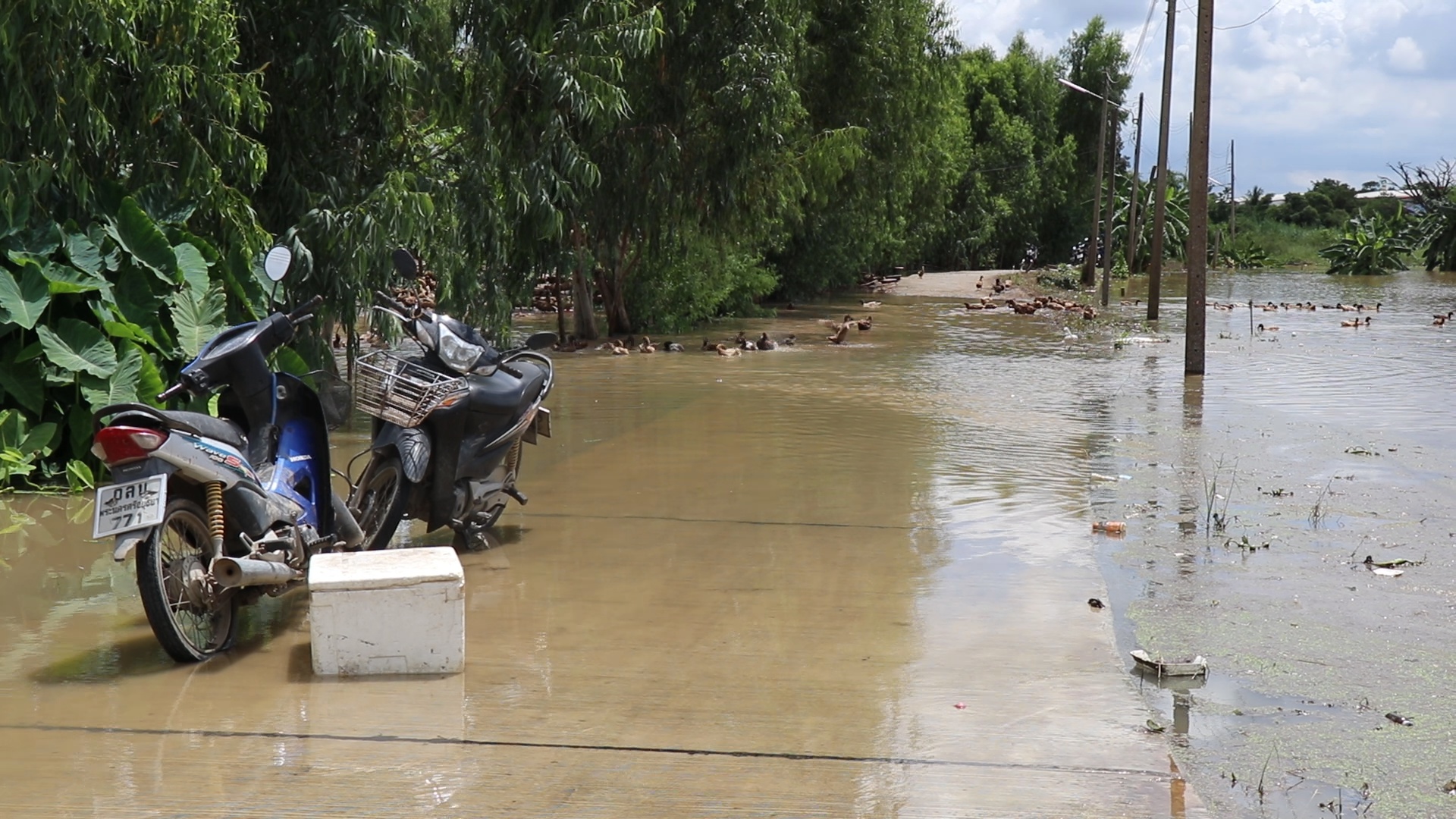 เปิดความจริง ทุ่งบางบาล เหตุใดจึงเป็นพื้นที่รับน้ำ แทนคนกรุง 