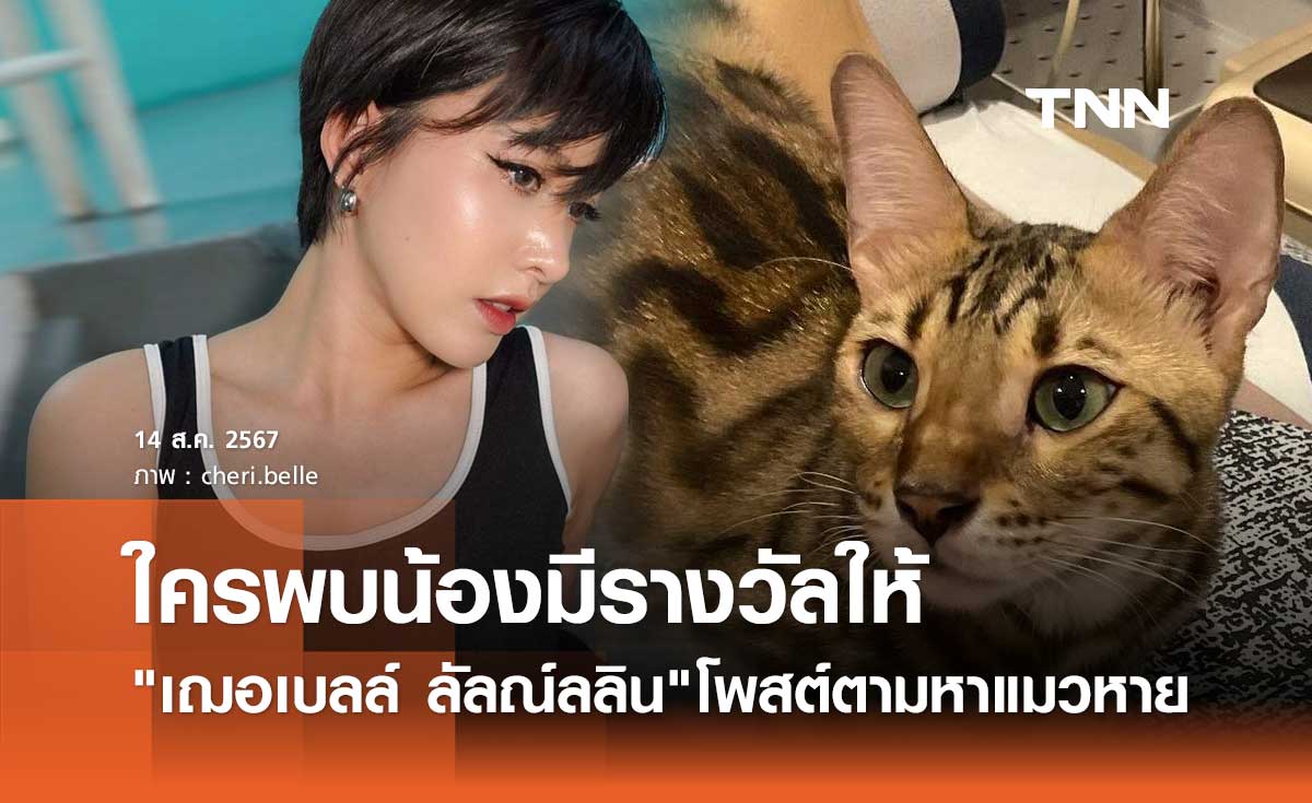 เฌอเบลล์ แมวหาย สายพันธุ์เบงกอล พบมีรางวัลให้ วอนอย่าบอกว่าน้องถูกกินไปแล้ว