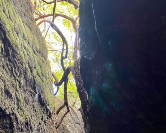 เบลล่า ราณี จับมือคุณแม่ปราณีขึ้นถ้ำนาคา ไหว้ขอพรพ่อปู่อือลือ