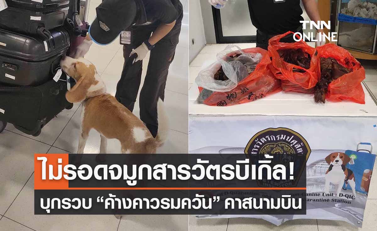 ไม่รอด! "สารวัตรบีเกิ้ล" บุกรวบเนื้อสัตว์รมควันเถื่อนคาสนามบินสุวรรณภูมิ
