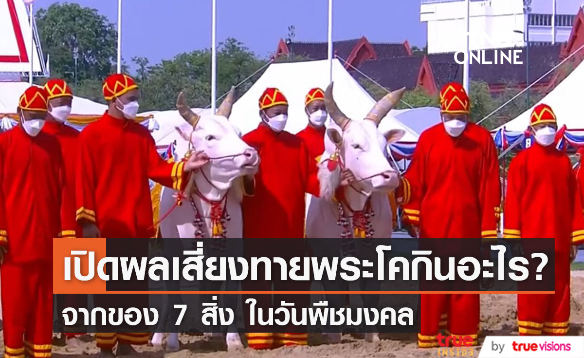 คำทำนายปีนี้ดี!! "สรยุทธ" เปิดผลเสี่ยงทายวันพืชมงคล ปีนี้พระโคกินอะไร?