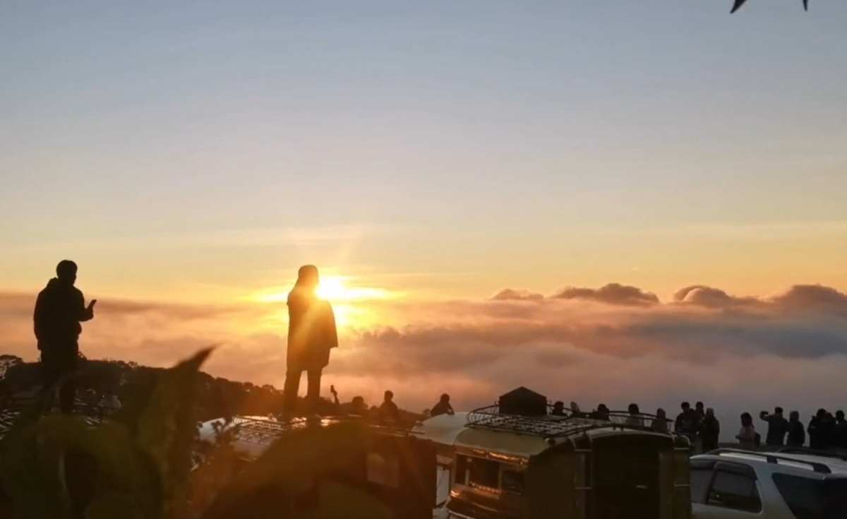 น้ำค้างยอดหญ้ามาแล้ว อินทนนท์ 8 องศาฯ น้ำค้างยอดหญ้ามาแล้ว อินทนนท์ 8 องศาฯ