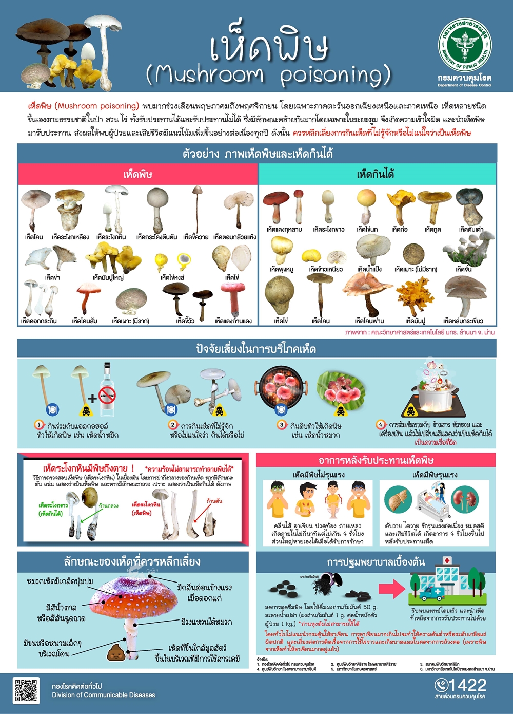 เปิดภาพตัวอย่าง เห็ดพิษ กับ เห็ดกินได้ ลักษณะอย่างไรที่ควรหลีกเลี่ยง!