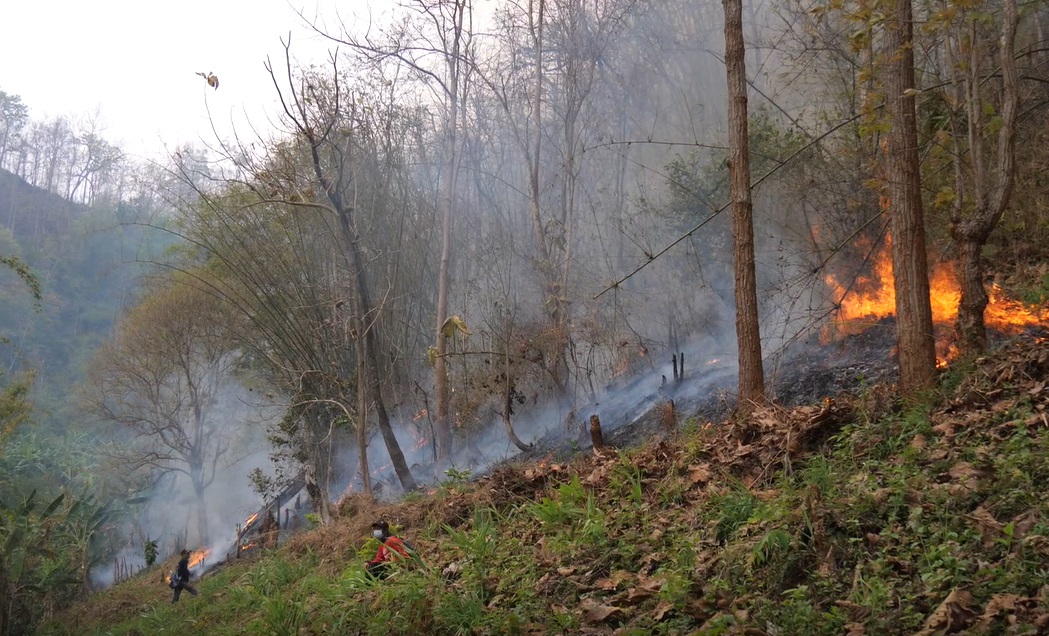 เจ้าหน้าที่ระดมกำลังนับร้อย เร่งคุม ไฟป่าสะเมิง เจ้าหน้าที่ระดมกำลังนับร้อย เร่งคุม ไฟป่าสะเมิง