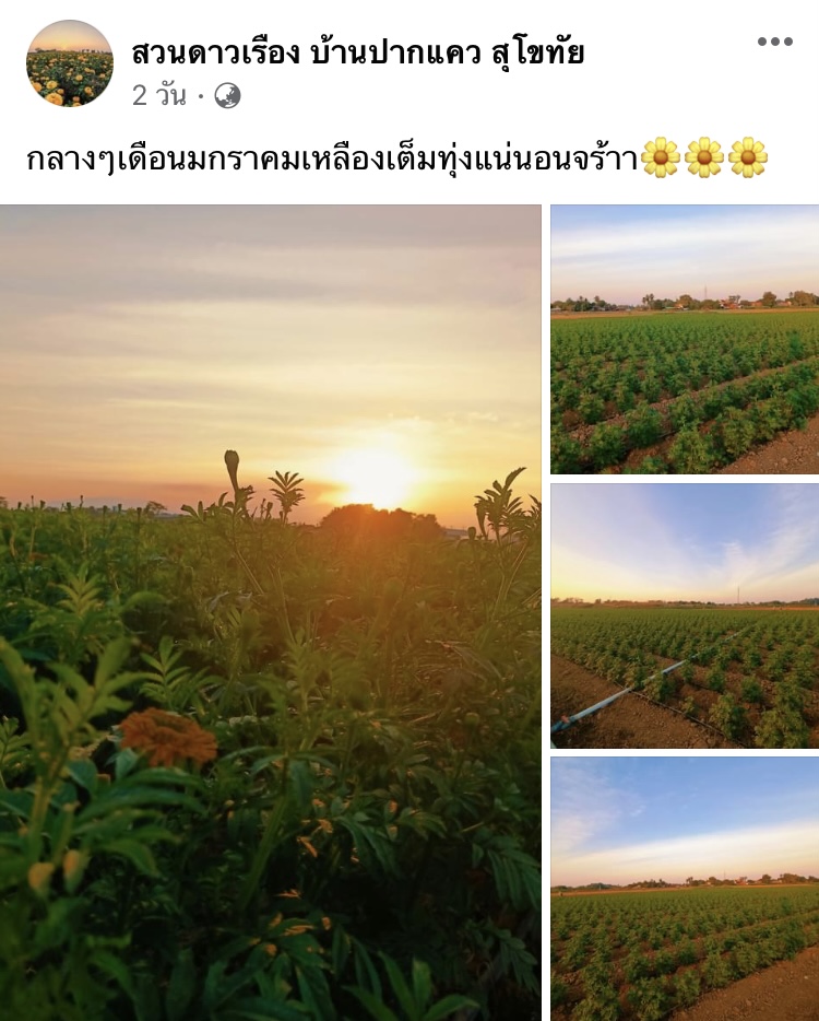 7 ที่เที่ยวสุโขทัย 2566 พาชมมรดกโลกล้ำเลิศ สังคโลก ทองโบราณ 7 ที่เที่ยวสุโขทัย 2566 พาชมมรดกโลกล้ำเลิศ สังคโลก ทองโบราณ