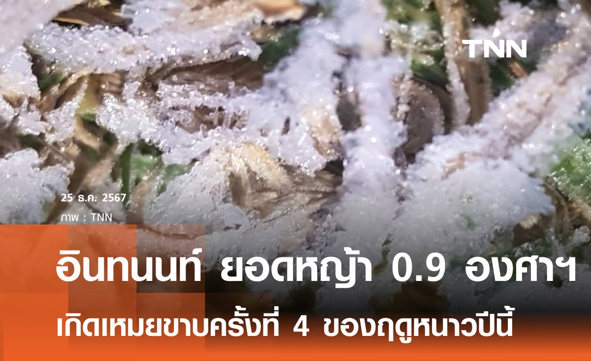ดอยอินทนนท์หนาวจัด ยอดหญ้า 0.9 องศาฯ "เหมยขาย" โผล่อีก