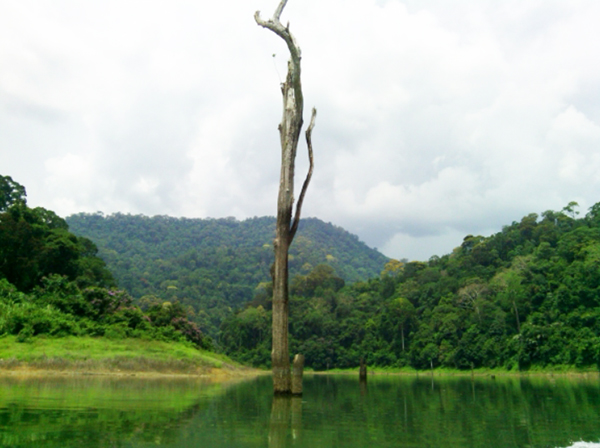 10 ที่เที่ยวยะลา 2565 สัมผัสหมอกปลายด้ามขวาน เมืองที่คุณต้องห้ามพลาด 10 ที่เที่ยวยะลา 2565 สัมผัสหมอกปลายด้ามขวาน เมืองที่คุณต้องห้ามพลาด