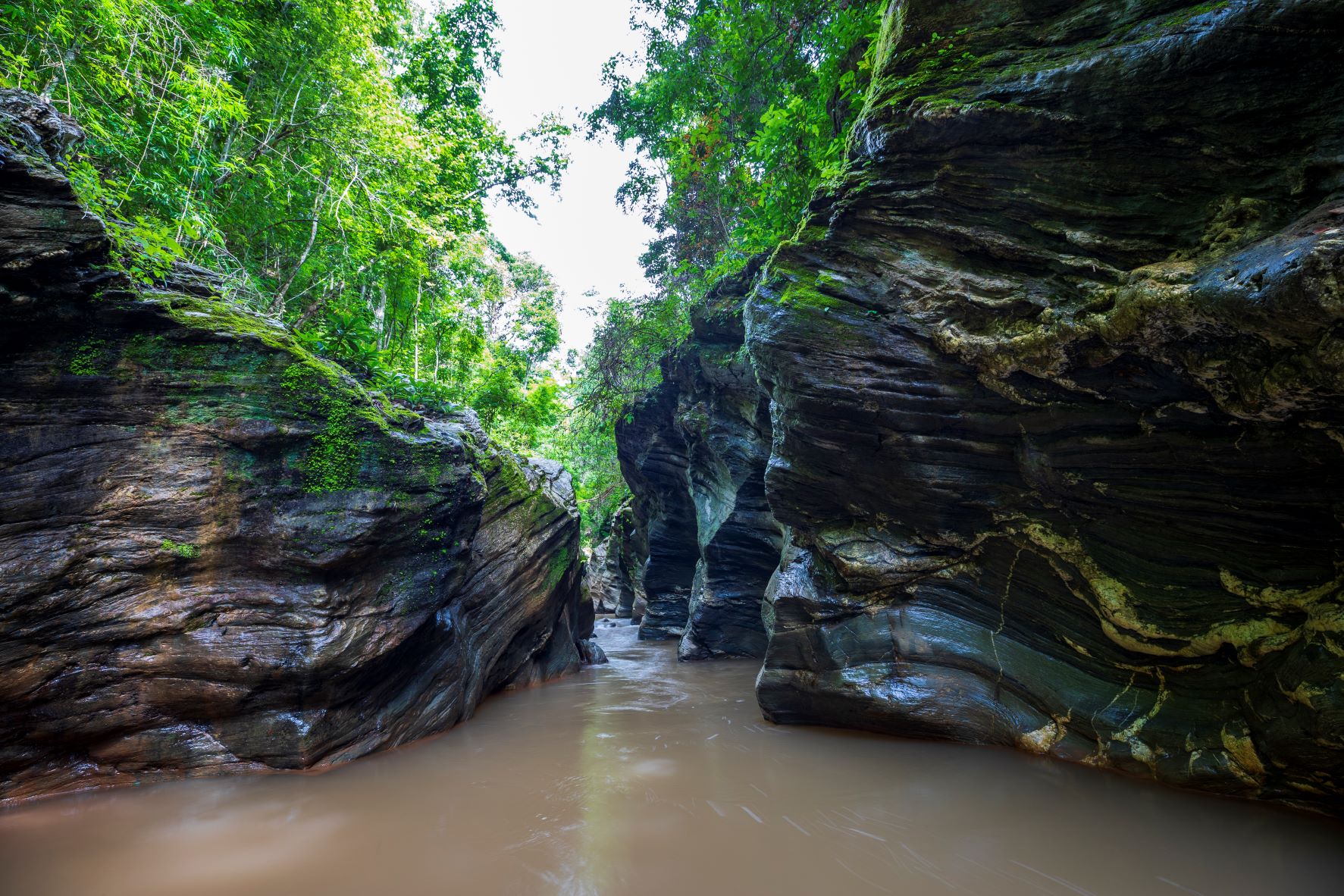 9 รูทเที่ยวน่าน เช็คอินปีใหม่ 2023 นอนดูดาว รับลมหนาวสุดฟิน!