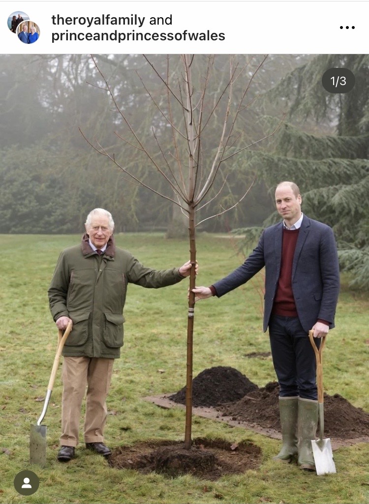 ฉายเดี่ยว!! 'เจ้าชายแฮร์รี่' จะเสด็จเข้าร่วมพระราชพิธีบรมราชาพิเษก 'คิงชาร์ลส์' 6 พ.ค.นี้ ฉายเดี่ยว!! 'เจ้าชายแฮร์รี่' จะเสด็จเข้าร่วมพระราชพิธีบรมราชาพิเษก 'คิงชาร์ลส์' 6 พ.ค.นี้