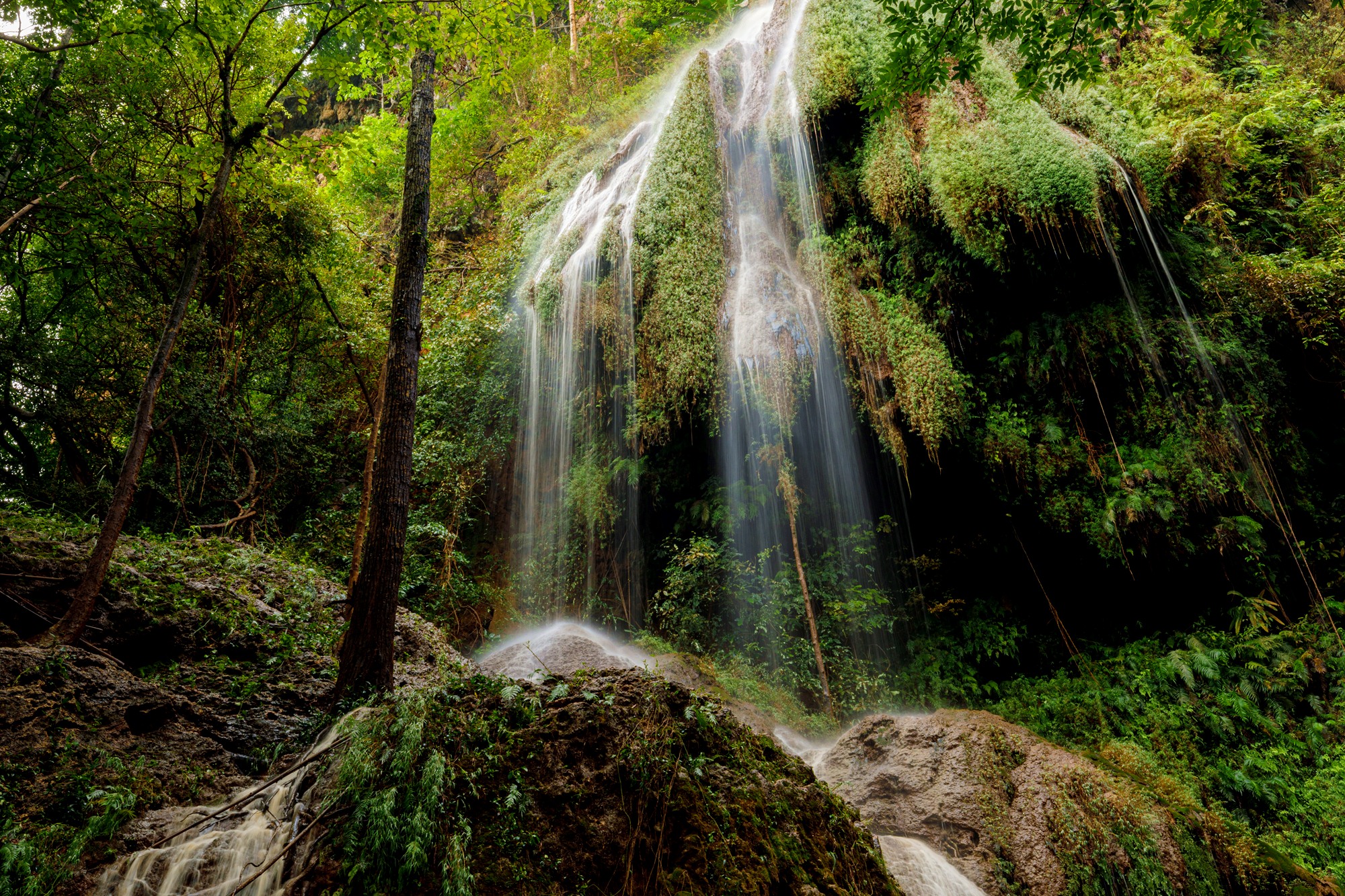 7 ที่เที่ยวอุทัยธานี 2565 ชื่นชมเสน่ห์เมืองรอง มรดกโลกห้วยขาแข้ง