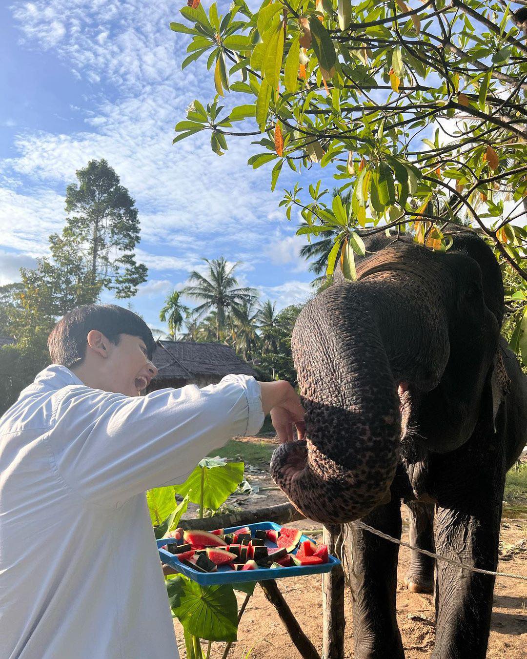 พัค โซโลมอน หนุ่มหล่อจาก มัธยมซอมบี้ มาไทยเที่ยวเกาะสมุยสุดชิล พัค โซโลมอน หนุ่มหล่อจาก มัธยมซอมบี้ มาไทยเที่ยวเกาะสมุยสุดชิล
