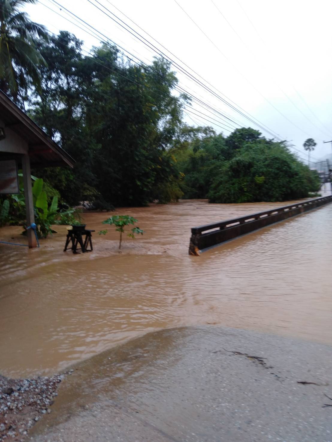 เลยฝนตกหนัก! น้ำป่าขุนภูซาง หลากท่วมอำเภอปากชม