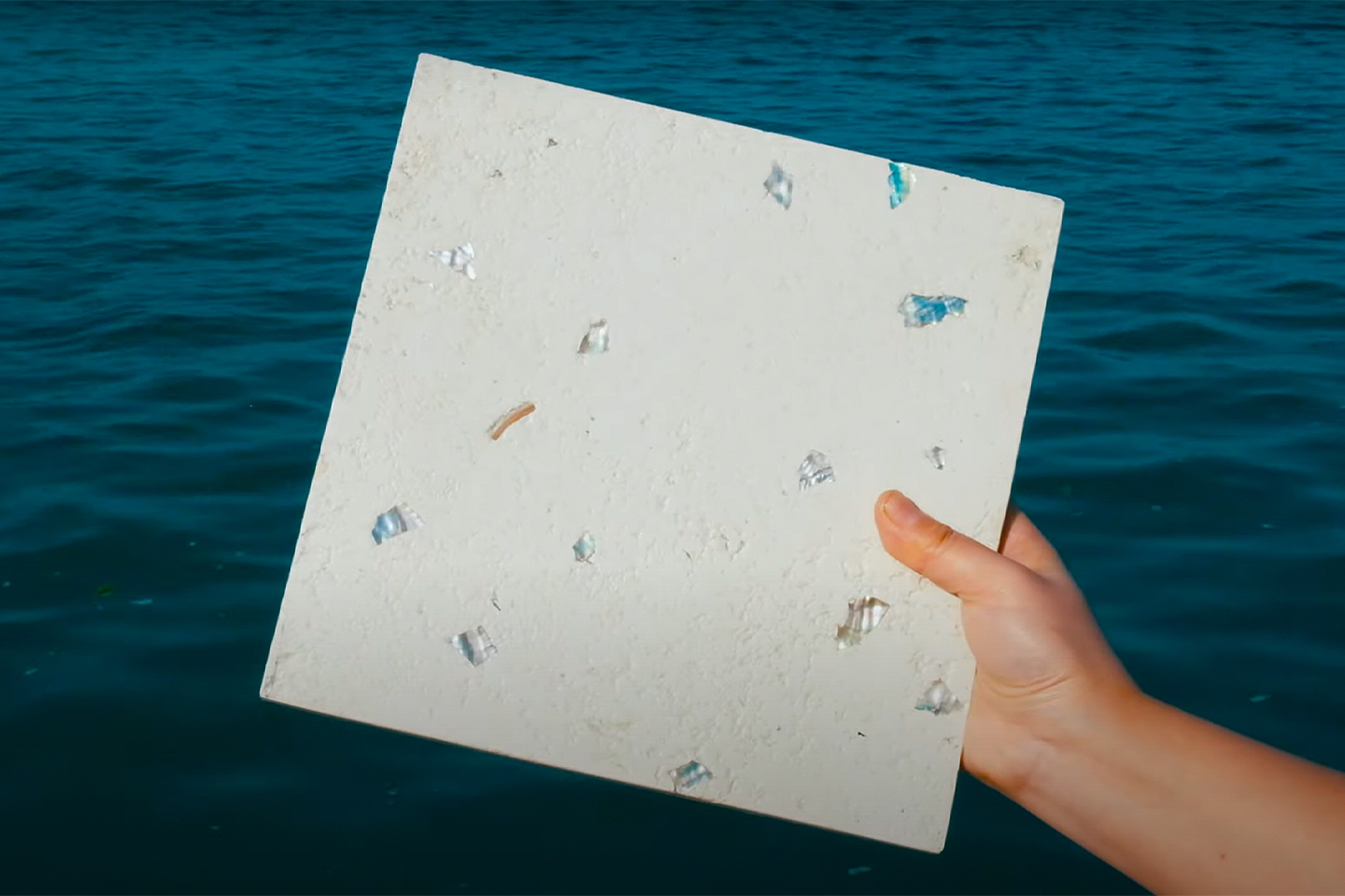 โลกไปไกล !? เปลี่ยน ซากหอย เป็นคอนกรีต โลกไปไกล !? เปลี่ยน ซากหอย เป็นคอนกรีต