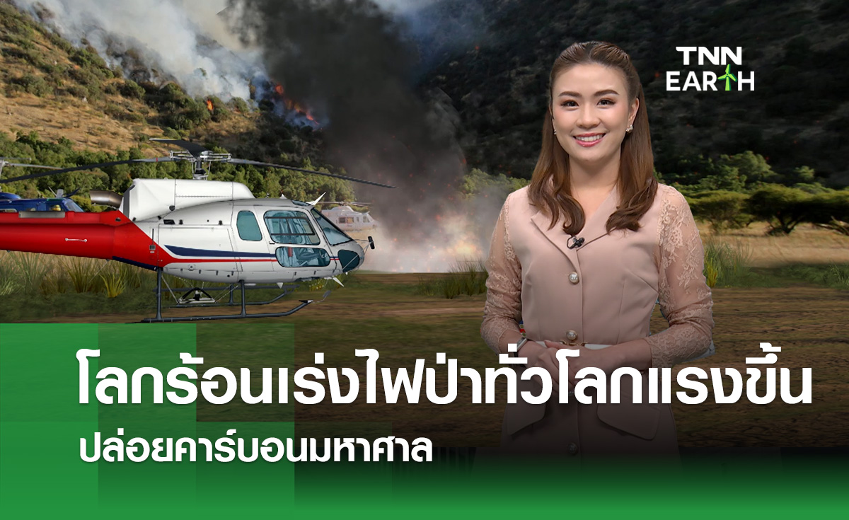 “โลกร้อน” เร่งไฟป่าแรงขึ้นทั่วโลก ปล่อยคาร์บอนมหาศาล