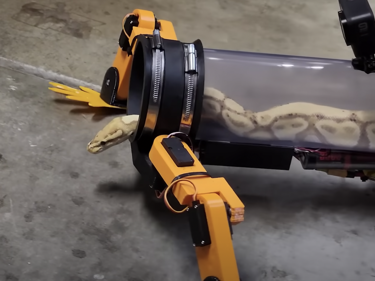 งูมีขา ช่างหาทำ! ยูทูบเบอร์สร้างหุ่นยนต์ขาเทียมสำหรับงู