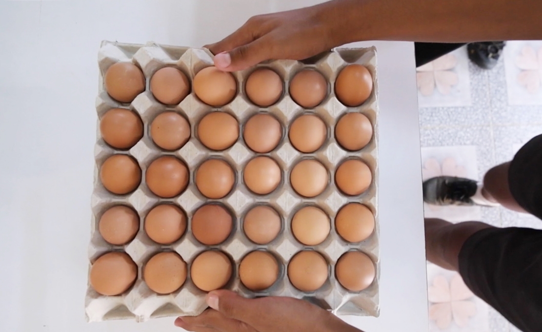 ซีพีเอฟ หนุน “โครงการเลี้ยงไก่ไข่เพื่ออาหารกลางวันนักเรียน” ก้าวสู่ปีที่ 35 ซีพีเอฟ หนุน “โครงการเลี้ยงไก่ไข่เพื่ออาหารกลางวันนักเรียน” ก้าวสู่ปีที่ 35