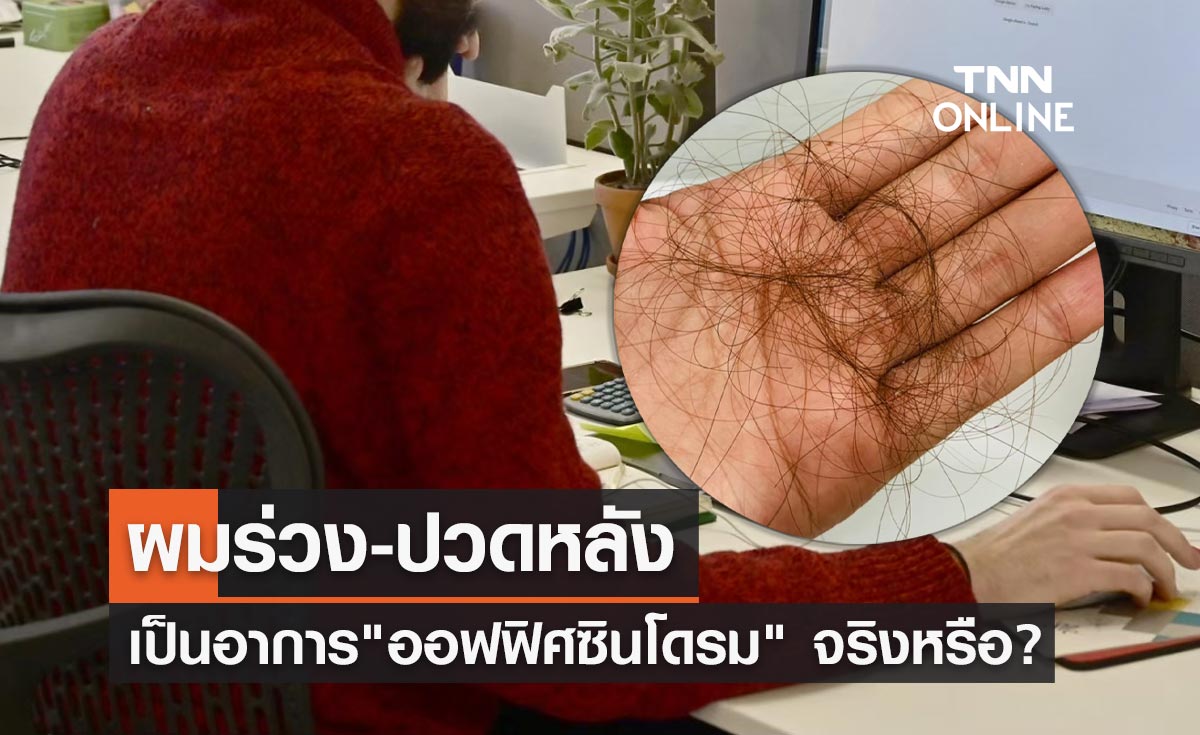 ผมร่วง-ปวดหลังเป็นอาการของ "ออฟฟิศซินโดรม" จริงหรือ? 