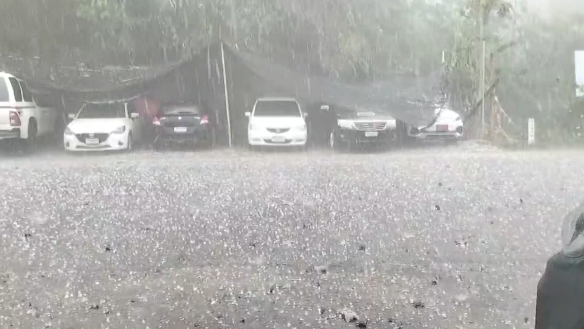 เปิดภาพ พายุลูกเห็บ ถล่มเชียงใหม่จนขาวโพลน! 