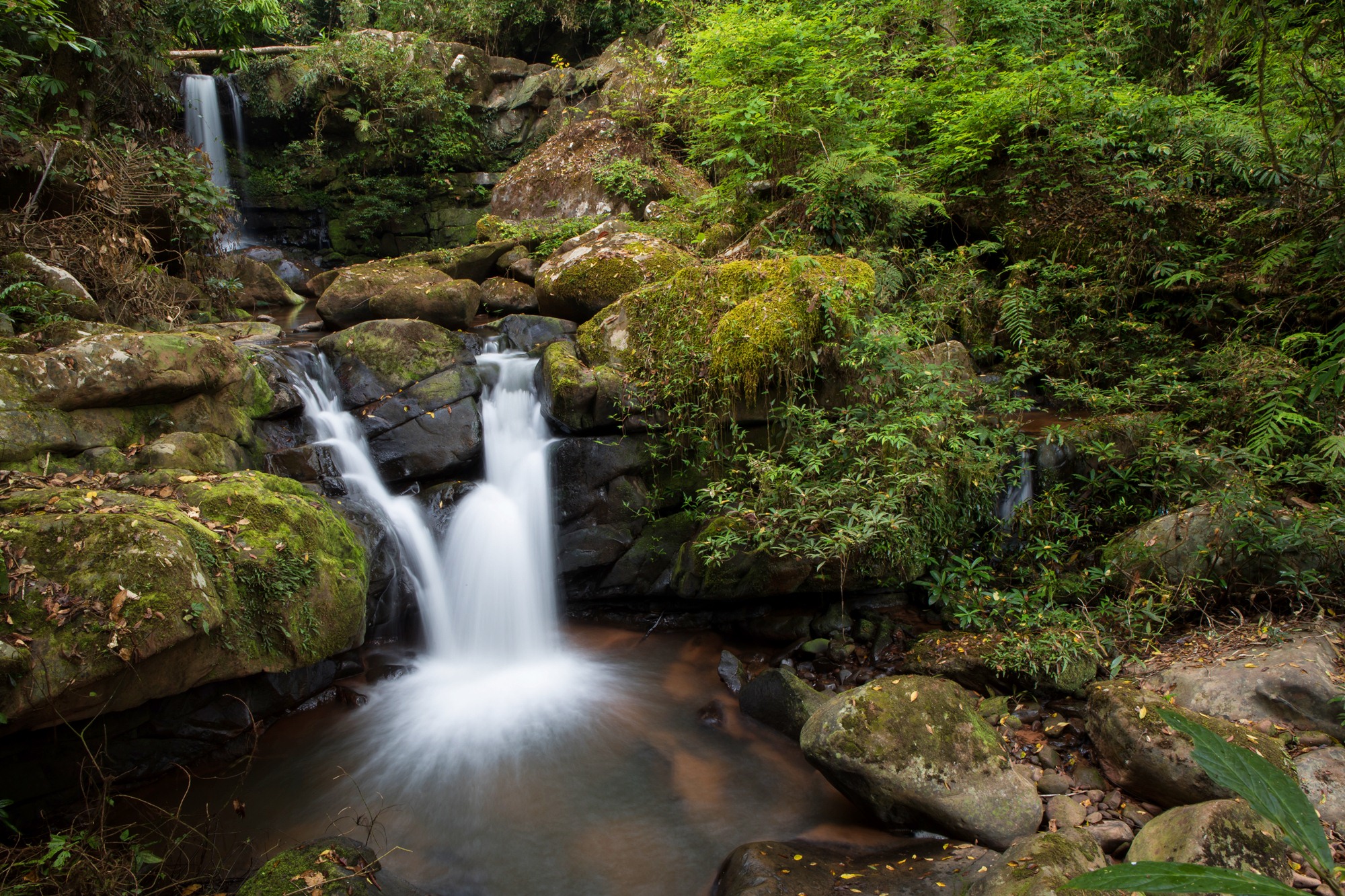 9 รูทเที่ยวน่าน เช็คอินปีใหม่ 2023 นอนดูดาว รับลมหนาวสุดฟิน! 9 รูทเที่ยวน่าน เช็คอินปีใหม่ 2023 นอนดูดาว รับลมหนาวสุดฟิน!