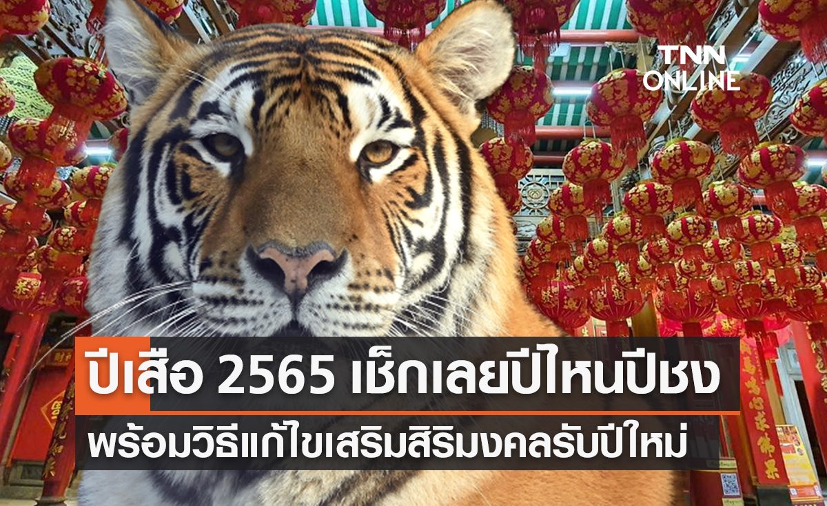 ปีเสือ 2565 เช็กเลยเกิดปีไหนเป็นปีชง 100% พร้อมวิธีแก้ไข