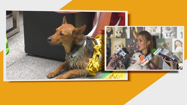 “เก๋ ชลลดา” อยากผลักดันเรื่องฟาร์มสัตว์ รับโดนคนเสียประโยชน์โจมตี   (มีคลิป)