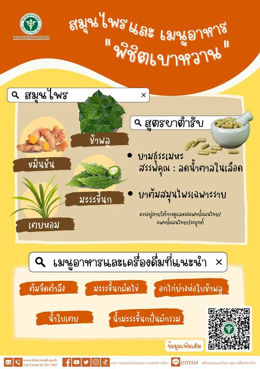 เปิดรายชื่อ 4 สมุนไพร-เมนูอาหารใกล้ตัวพิชิต “โรคเบาหวาน” เปิดรายชื่อ 4 สมุนไพร-เมนูอาหารใกล้ตัวพิชิต “โรคเบาหวาน”