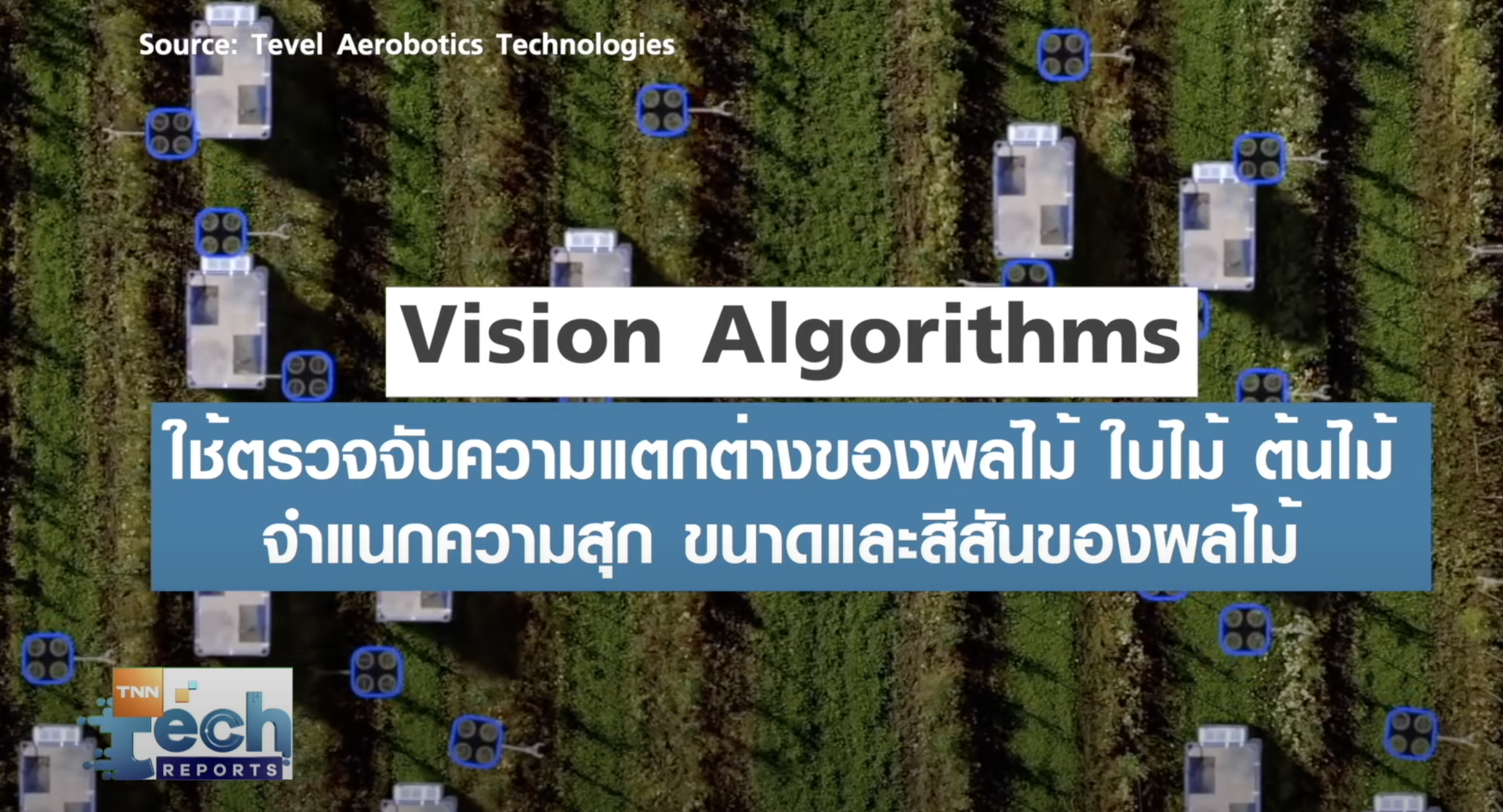 มัดรวมนวัตกรรมแปลก ดูแลต้นไม้จากทั่วโลก | TNN Tech Reports 