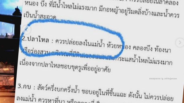 “ศรีริต้า” แจงปล่อยปลาไหล / “อ๊อฟ ปอง” ถามชาวเน็ตเกลียดอะไร  (มีคลิป)
