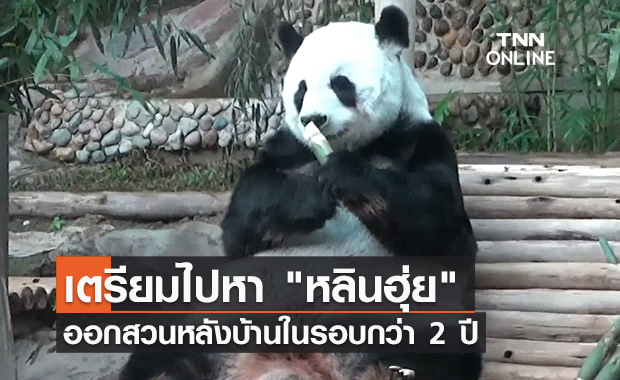 เตรียมเปิดสวนหลังบ้านให้ "หลินฮุ่ย" ออกมาสัมผัสธรรมชาติในรอบกว่า 2 ปี