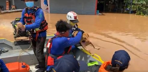 เล็ก ฝันเด่น รุดช่วยสุนัขลอยน้ำ!! หลังลงพื้นที่ช่วยน้ำท่วม