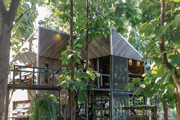 10 ที่เที่ยวพะเยา 2565 ชมความงามกว๊านพะเยา สัมผัสทะเลหมอกยอดดอย 10 ที่เที่ยวพะเยา 2565 ชมความงามกว๊านพะเยา สัมผัสทะเลหมอกยอดดอย