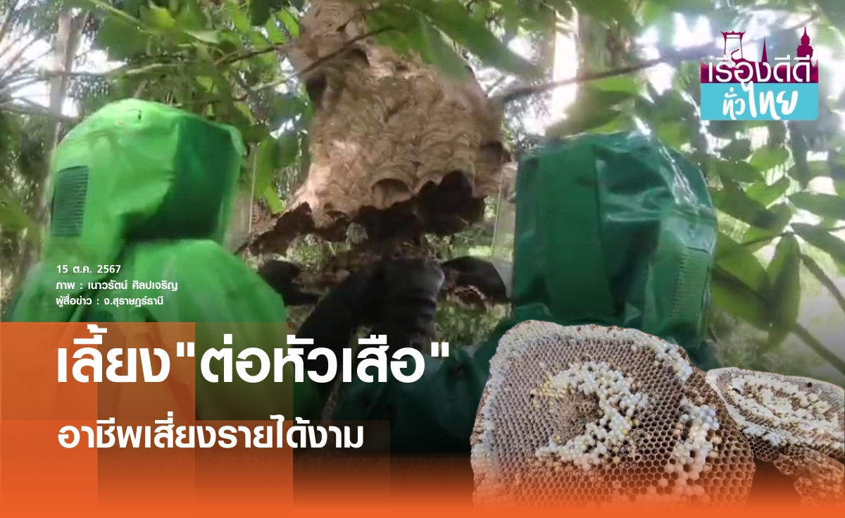 เลี้ยงต่อหัวเสือ ทำรายได้เสริมหลักหมื่น I เรื่องดีดีทั่วไทย