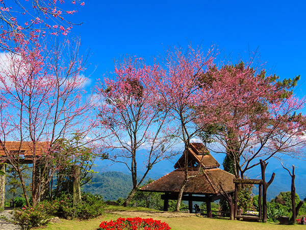 15 ที่เที่ยวแม่ฮ่องสอน 2565 เช็กอินดินแดนสามหมอก สัมผัสอากาศเย็นสุดฟิน 15 ที่เที่ยวแม่ฮ่องสอน 2565 เช็กอินดินแดนสามหมอก สัมผัสอากาศเย็นสุดฟิน