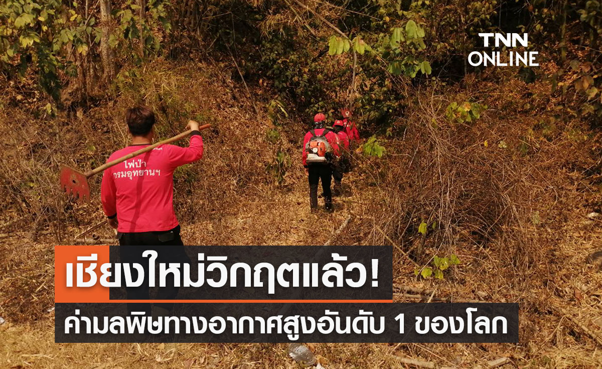 ฝุ่น PM2.5 เชียงใหม่วิกฤตแล้ว! มลพิษทางอากาศอันดับ 1 ของโลก