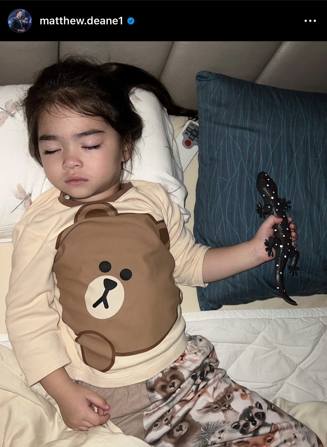 น่ารักน่าเอ็นดู น้องเดมี่ นอนกอด ตุ๊กแก แก้เหงา