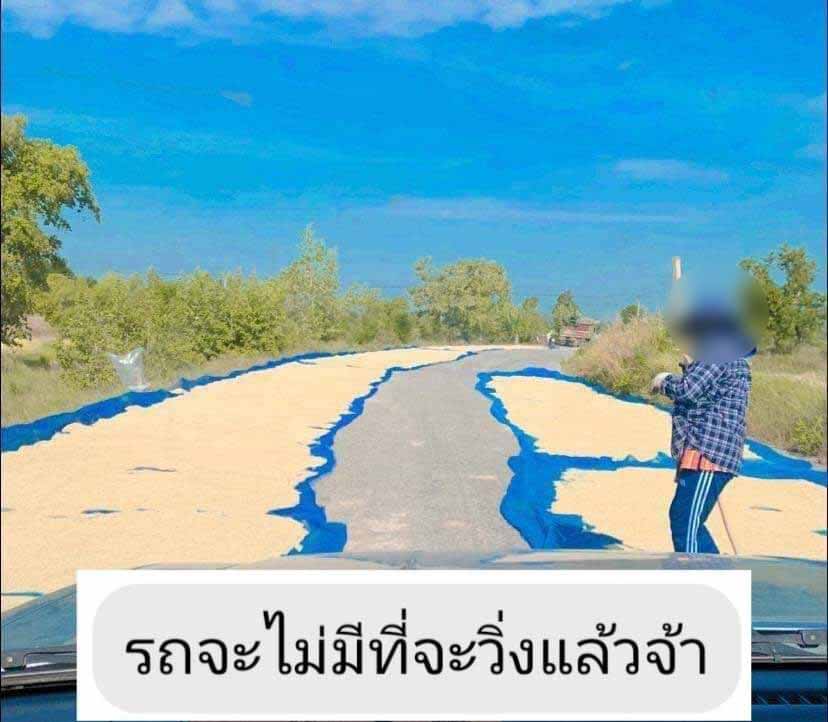 เต็มคาราเบล! ตากข้าวขวางถนน! ผู้ขับขี่สุดเพลียรถแทบไม่มีที่วิ่ง เต็มคาราเบล! ตากข้าวขวางถนน! ผู้ขับขี่สุดเพลียรถแทบไม่มีที่วิ่ง