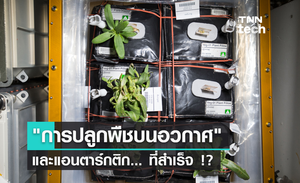 แอนตาร์กติก และ "การปลูกพืชบนอวกาศ"... ที่สำเร็จ !?