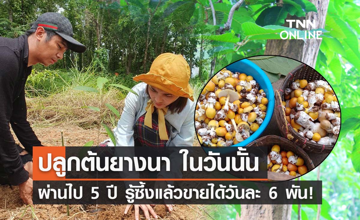 ก้อง ห้วยไร่ เล่าภรรยาขอปลูก "ต้นยางนา" ผ่านไป 5 ปีเก็บเห็ด รายได้งาม!