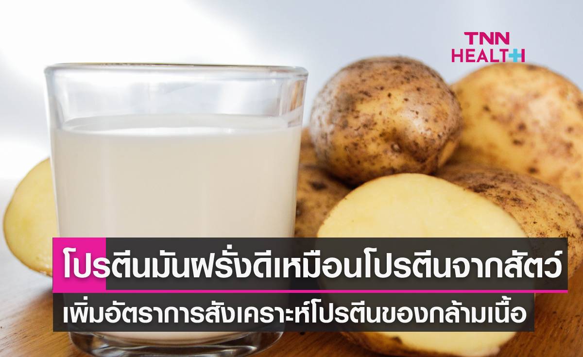 "โปรตีนจากมันฝรั่ง"ช่วยกล้ามเนื้อสังเคราะห์โปรตีนได้ดีเหมือนกับโปรตีนจากสัตว์
