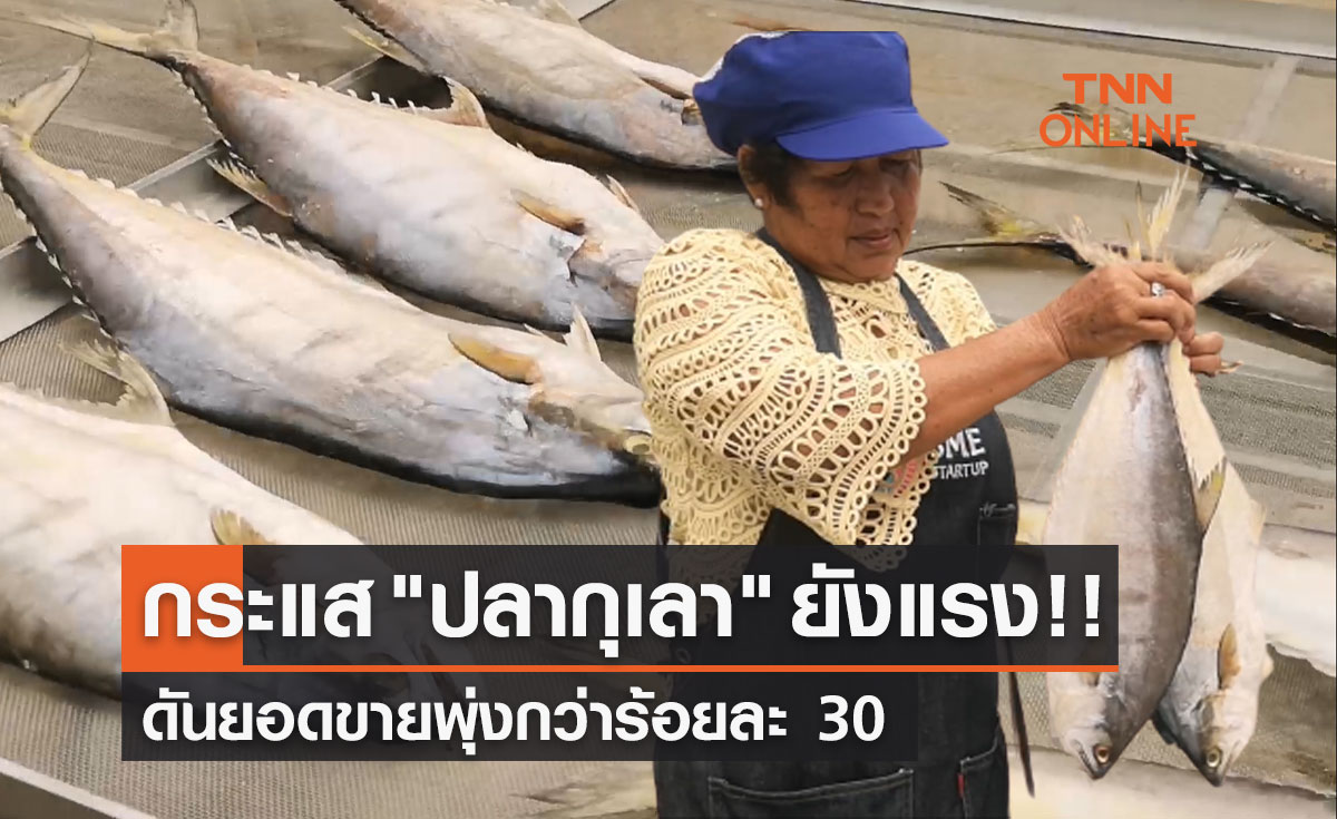 Soft Power กระแส "ปลากุเลา" แรงต่อเนื่อง ยอดขายพุ่งกว่าร้อยละ 30