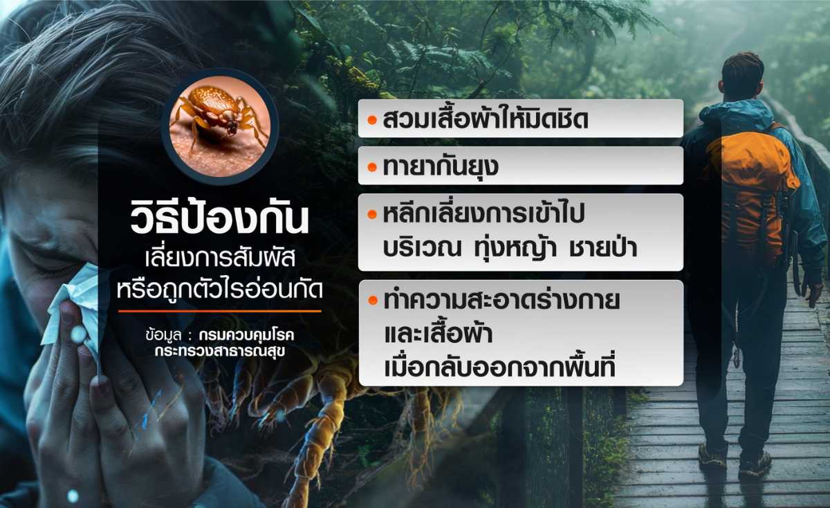 เที่ยวป่าต้องระวัง ไข้รากสาดใหญ่ เชื้ออันตรายจาก ตัวไรอ่อน เที่ยวป่าต้องระวัง ไข้รากสาดใหญ่ เชื้ออันตรายจาก ตัวไรอ่อน