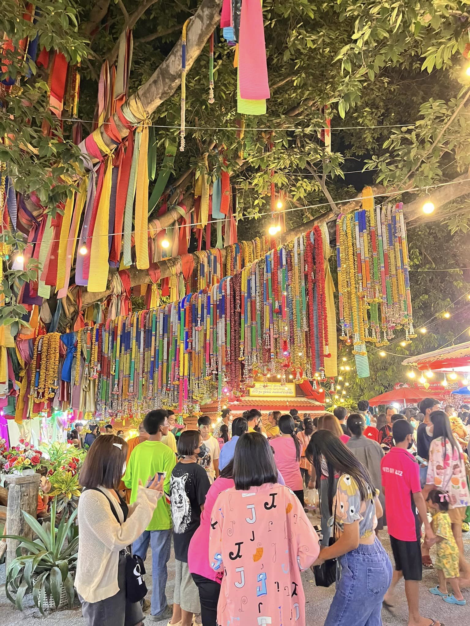 “น้องเพชร” เตรียมร่วมงานรำลึก “แม่ผึ้ง” (มีคลิป) 