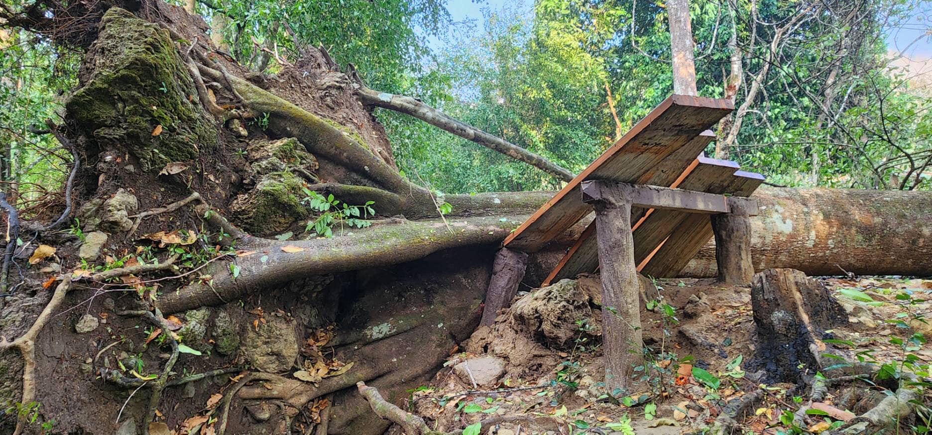 ฤทธิ์ “พายุฤดูร้อน” ประกาศปิดอุทยานแห่งชาติเอราวัณ ชั่วคราว ฤทธิ์ “พายุฤดูร้อน” ประกาศปิดอุทยานแห่งชาติเอราวัณ ชั่วคราว