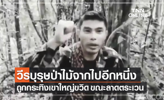 เศร้า! เจ้าหน้าที่พิทักษ์ป่า เขาใหญ่ ถูกกระทิงขวิดเสียชีวิต ขณะลาดตระเวน