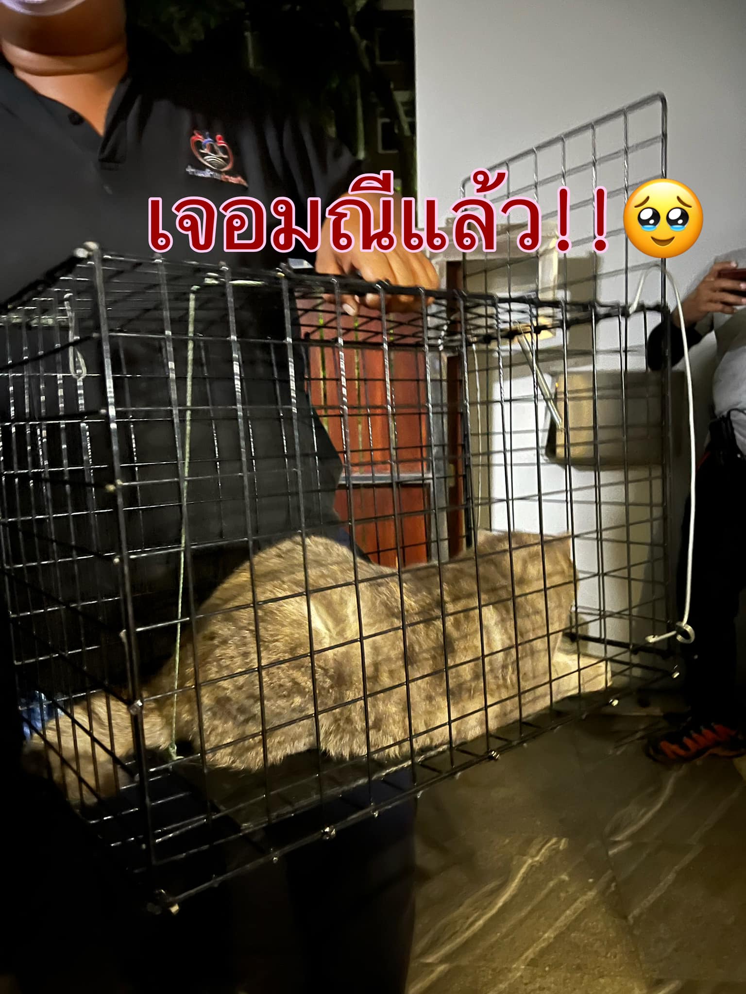 เจอตัวแม่มณีแล้ว! เจ้าของเผยเดินกลับเข้าหมู่บ้านมาเอง