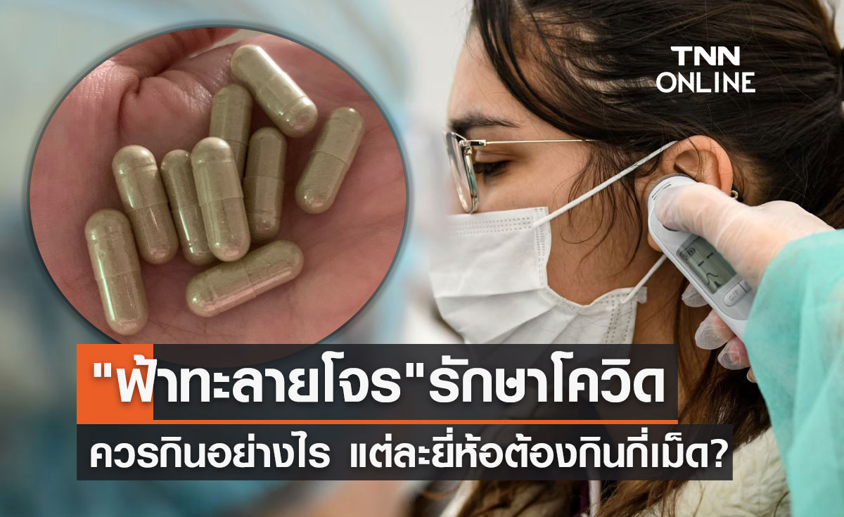 "ฟ้าทะลายโจร" ติดโควิดควรกินอย่างไร แต่ละยี่ห้อต้องกินครั้งละกี่เม็ด?