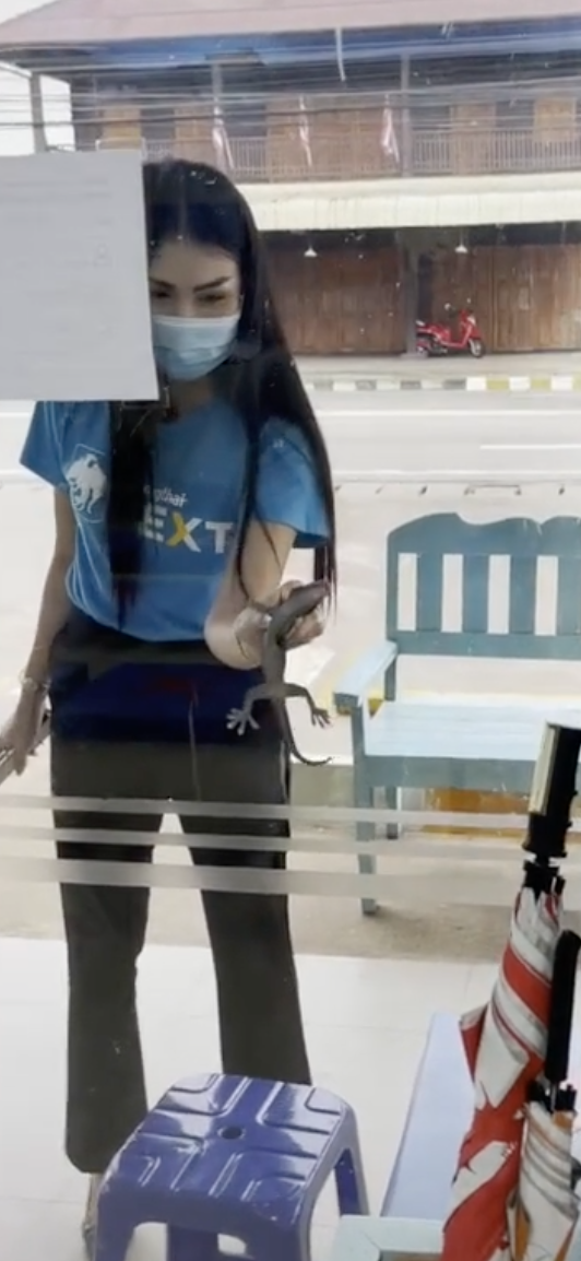 ไวรัลดัง! สาวแบงก์จับตุ๊กแกยอดติ๊กต็อกดูทะลุ 4 ล้านวิว ไวรัลดัง! สาวแบงก์จับตุ๊กแกยอดติ๊กต็อกดูทะลุ 4 ล้านวิว