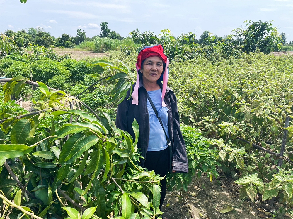 ปันน้ำปุ๋ยสู่เกษตรกร CPF ช่วยเกษตรกรก้าวผ่านวิกฤตภัยแล้ง 