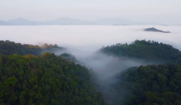 10 ที่เที่ยวเพชรบุรี นั่งรับลมริมหาดชะอำ นอนดูดาวริมเขื่อนแก่งกระจาน 10 ที่เที่ยวเพชรบุรี นั่งรับลมริมหาดชะอำ นอนดูดาวริมเขื่อนแก่งกระจาน